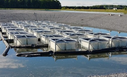 Ontario Wastewater Treatment Plant - Floating Baffle & MIC Cover